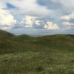 Learning to Write Landscape and My Primal Place